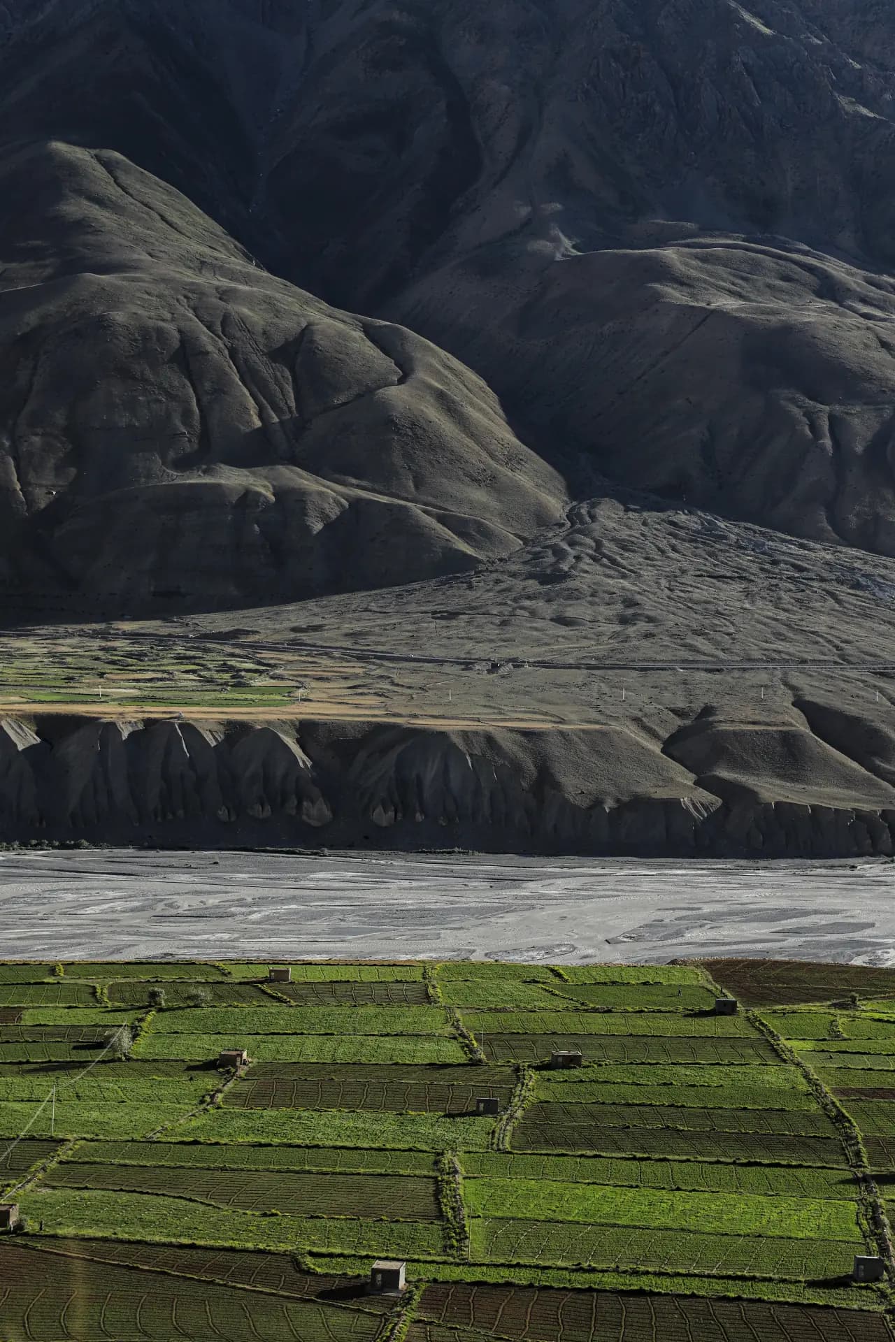 Spiti River valley with green fields and mountains near Kaza
