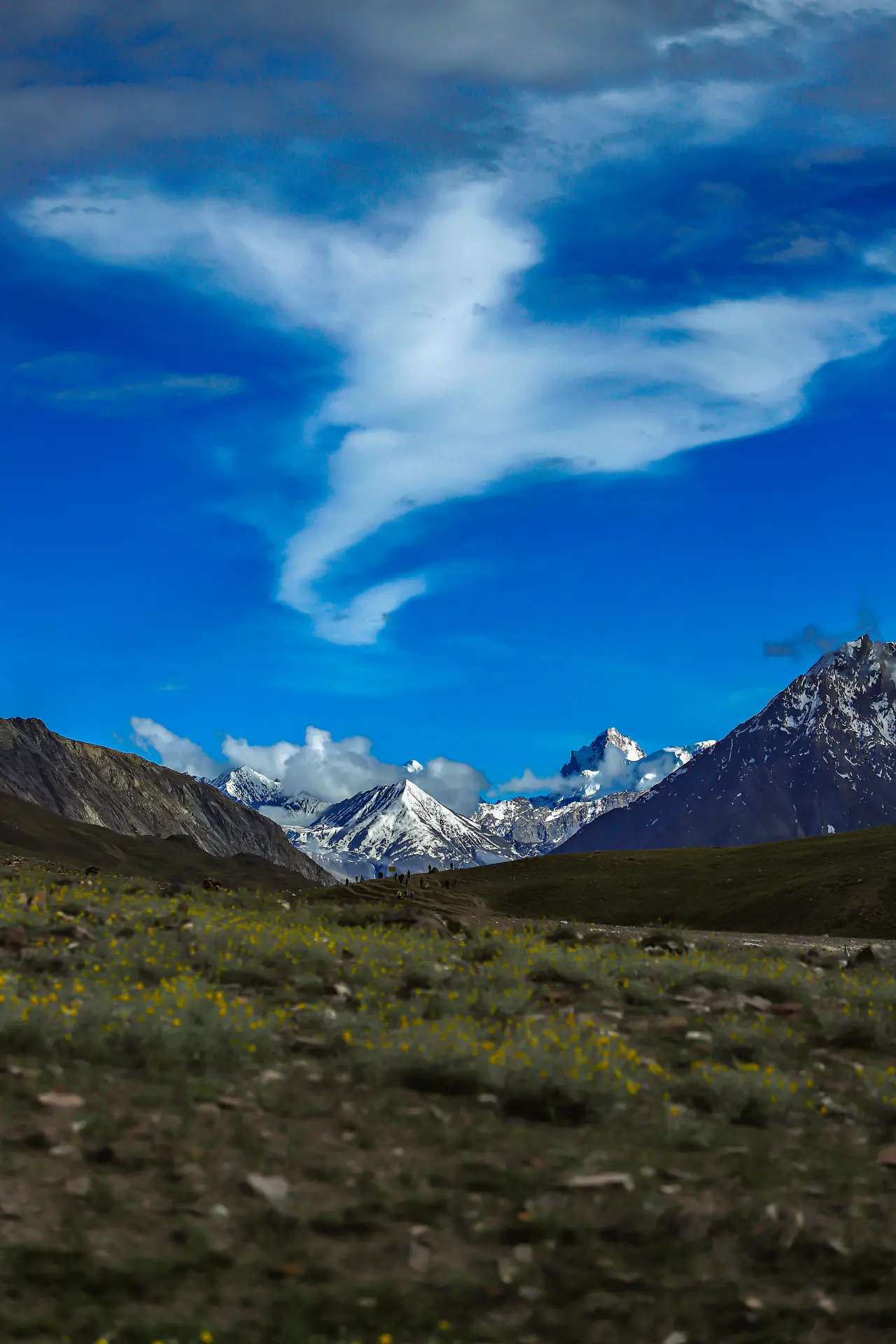 Trekking meadow with snow-capped peaks in Spiti Valley